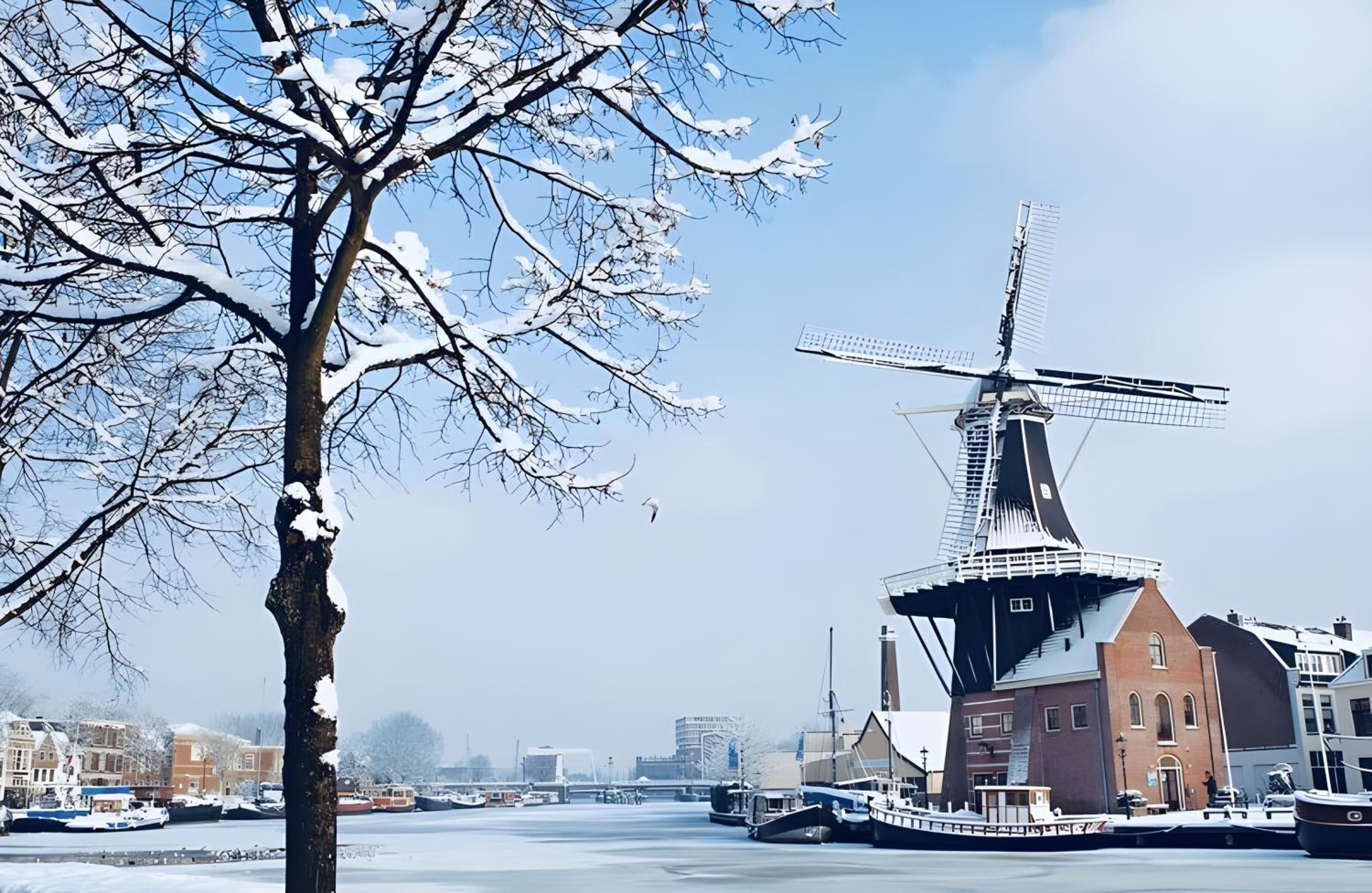 Photo 46