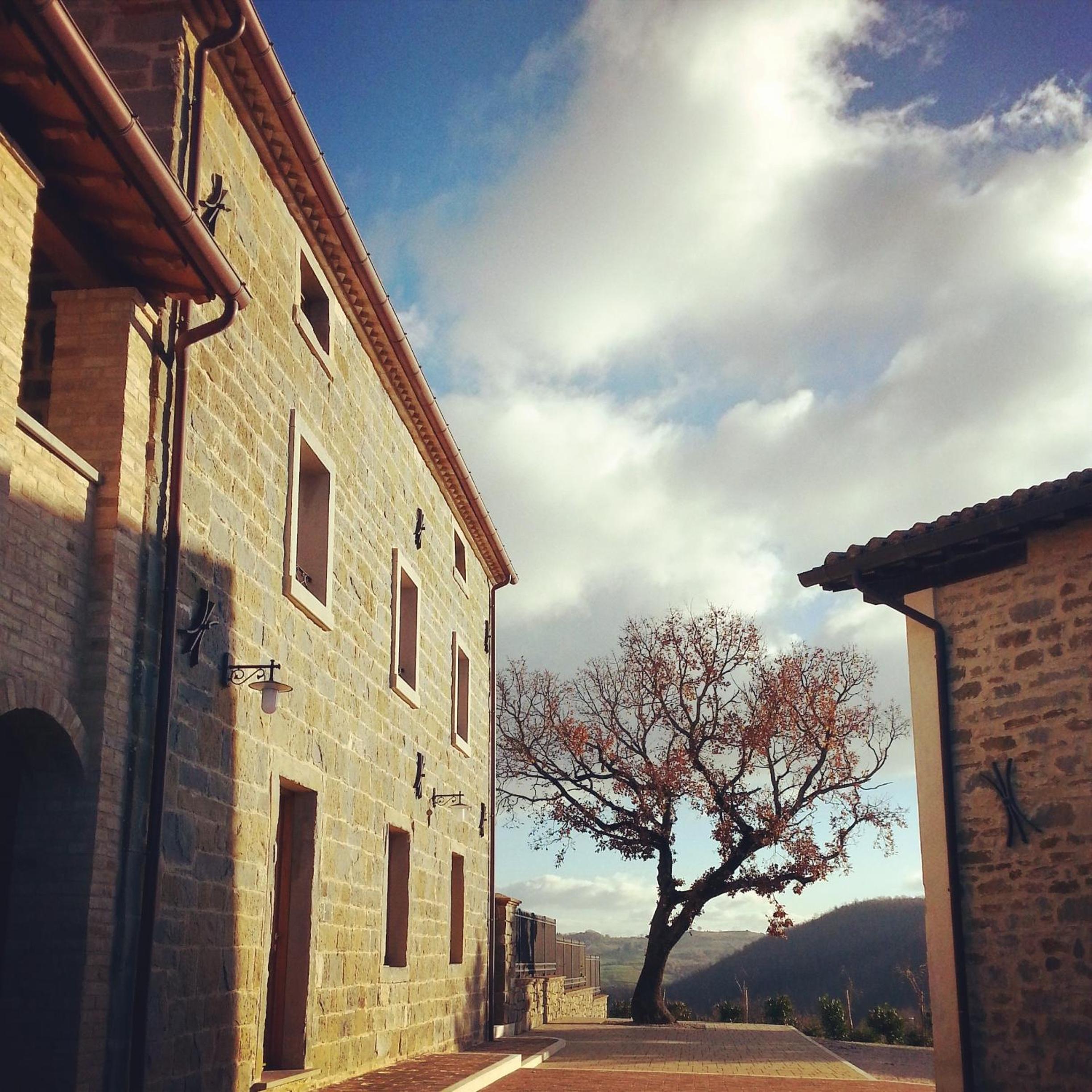 Tenuta Borgo Santa Cecilia