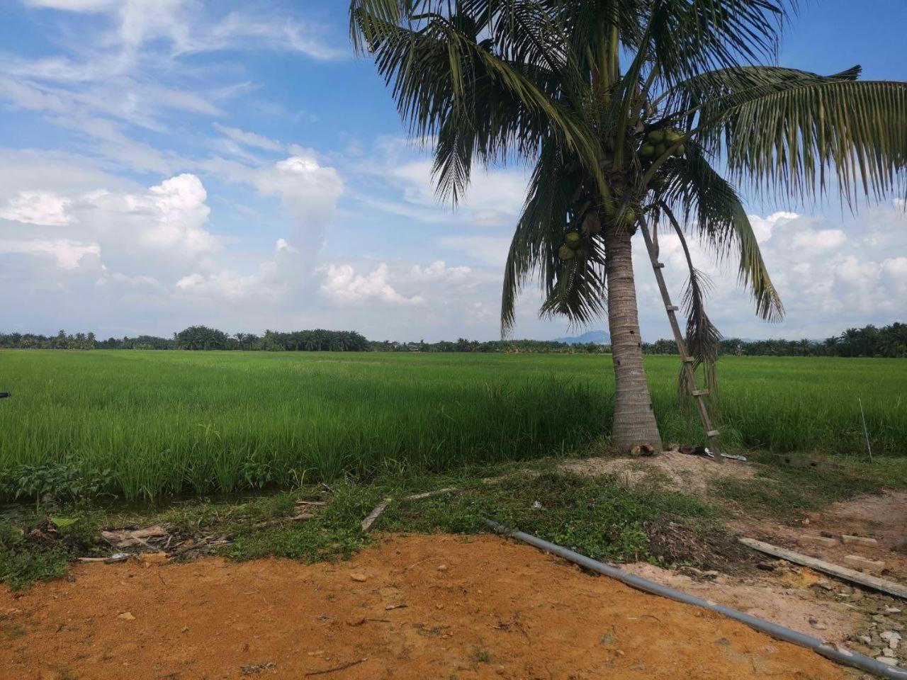 HomeStay Abah Alor Pongsu photo 3