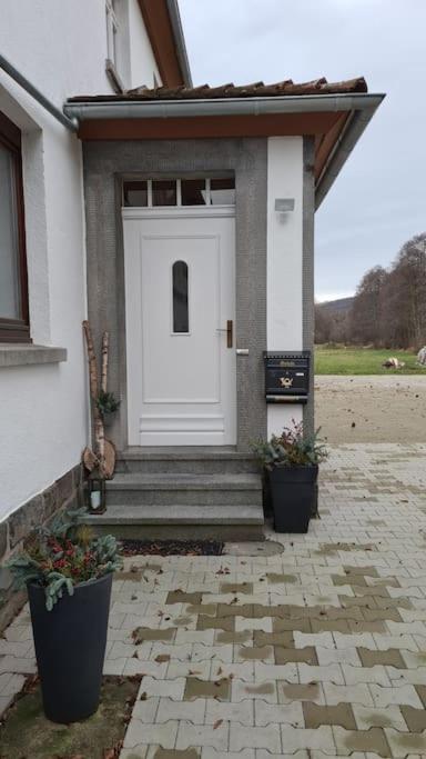 Lindenwohnung an historischer Mühle