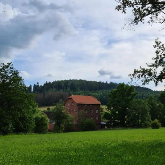 Lindenwohnung an historischer Mühle