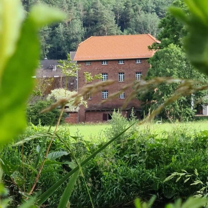 Lindenwohnung an historischer Mühle