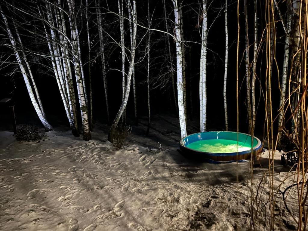 Brzozowy Chillout view 4