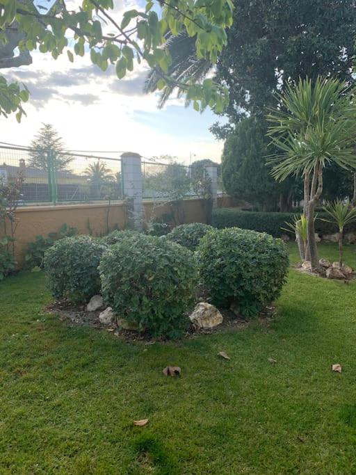 Casa Rural El Limonero