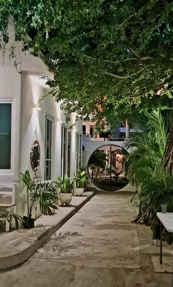 El Sho - Hotel orgánico view 5
