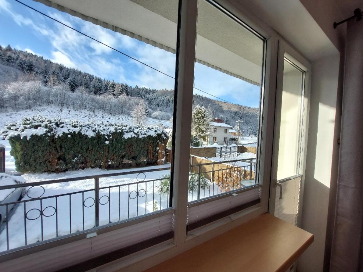 Kosciuszko Apartment view 5