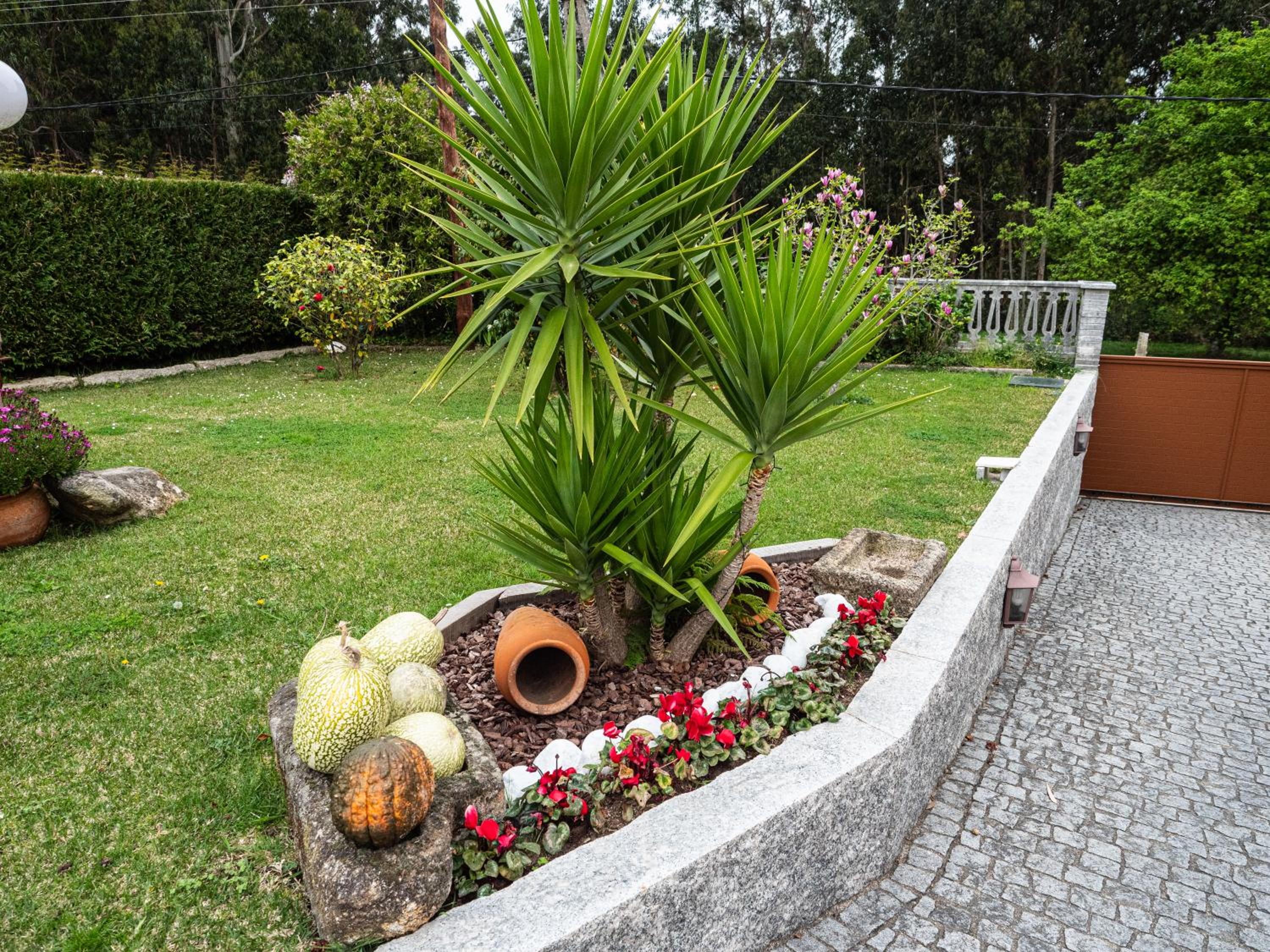 Casa Ramos