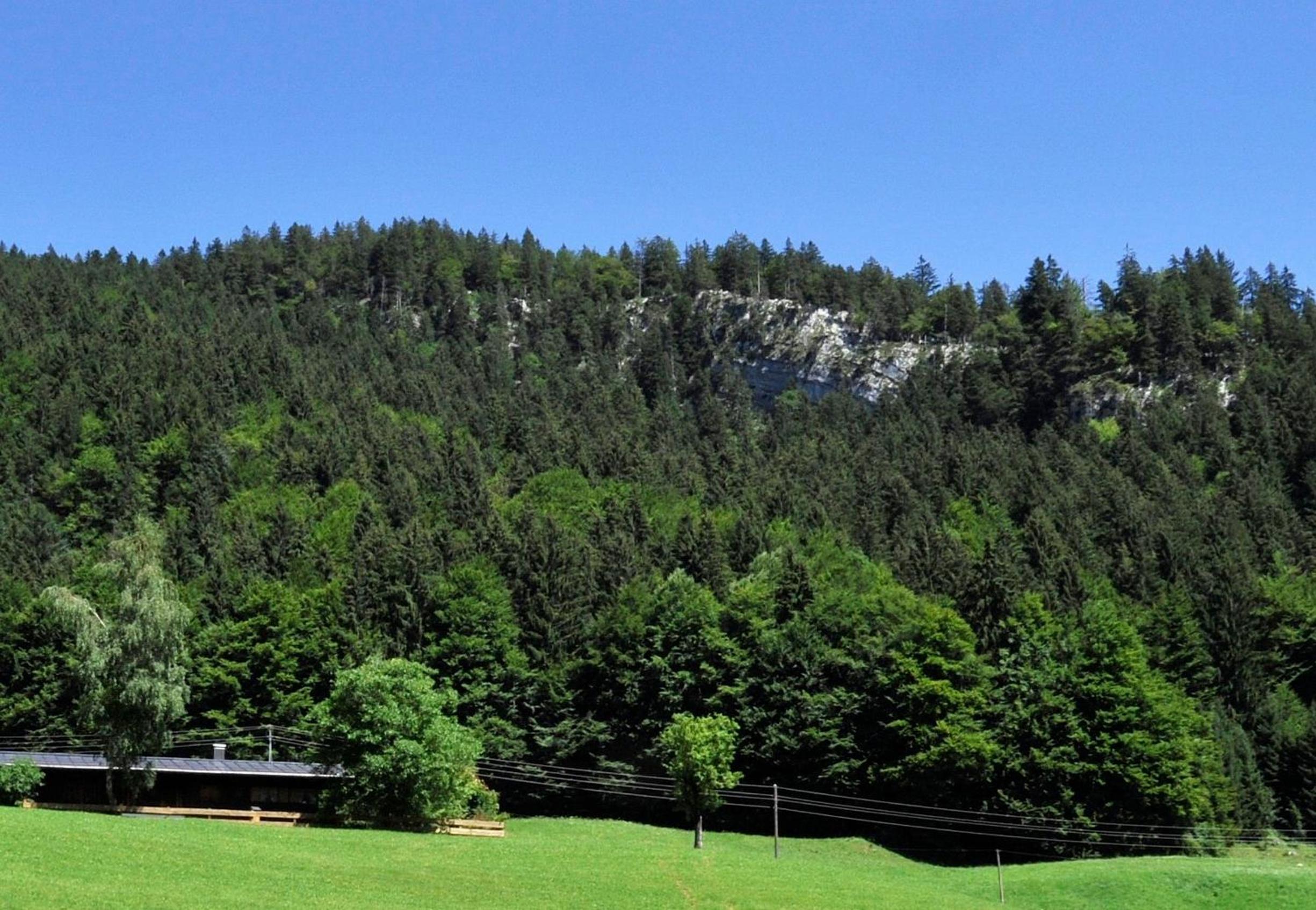 Gschwenderhaus Ferienwohnungen