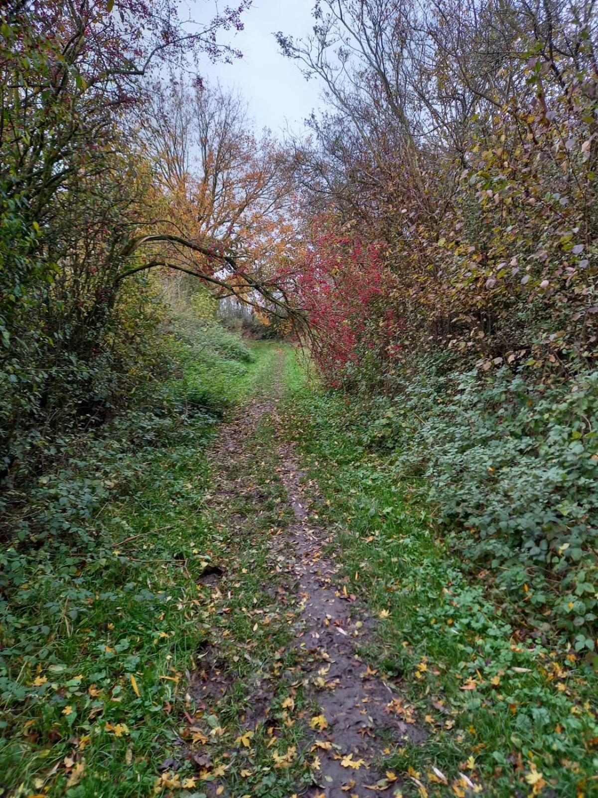 Photo 21