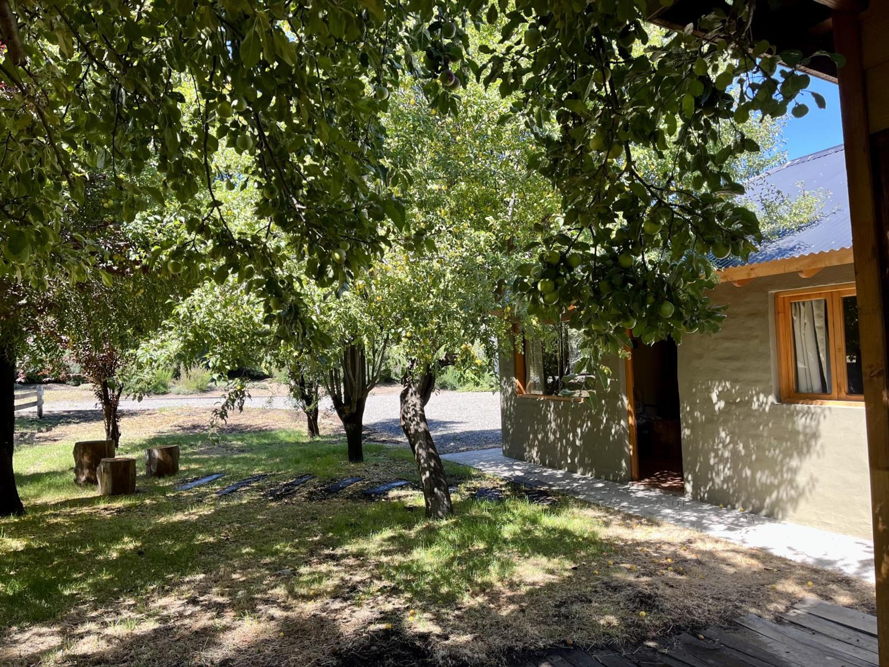 Fly Fishing Cabin, River Coast.