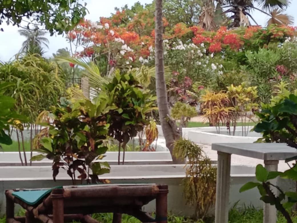 Sateh Ecolodges