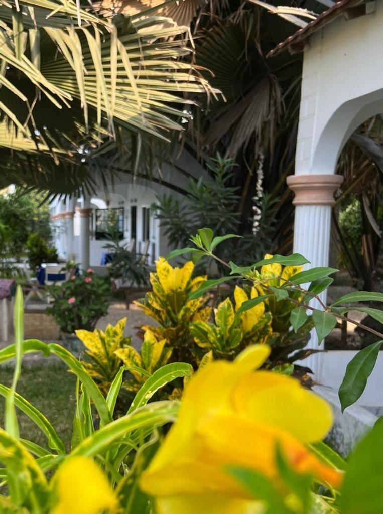 Sateh Ecolodges