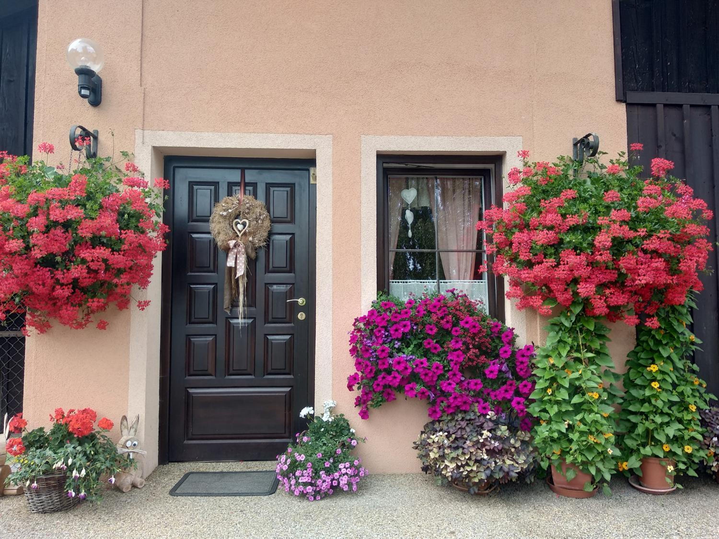Apartmány Adršpach 