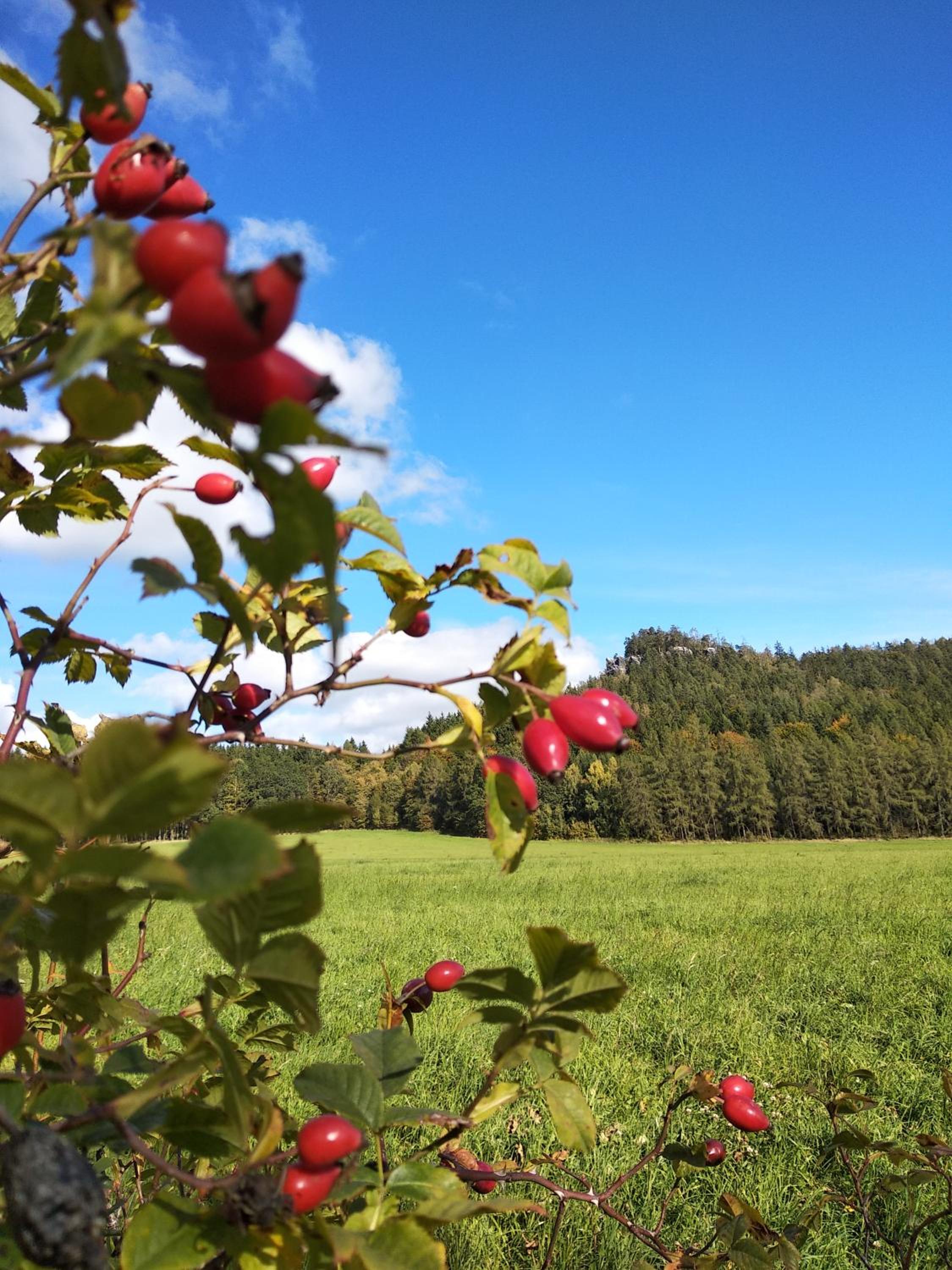 Apartmány Adršpach 