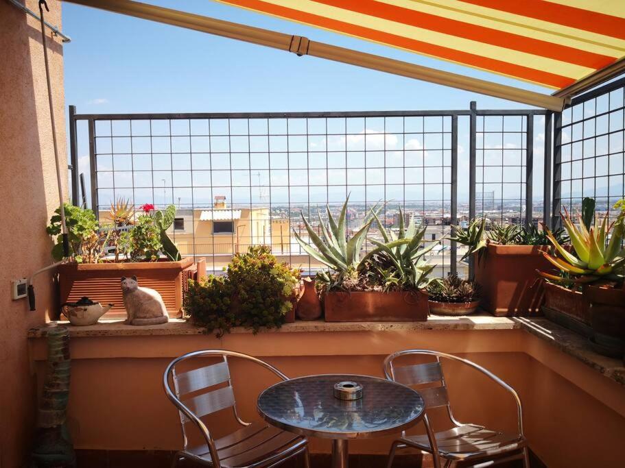 Rosa's terrace Roma panoramic penthouse
