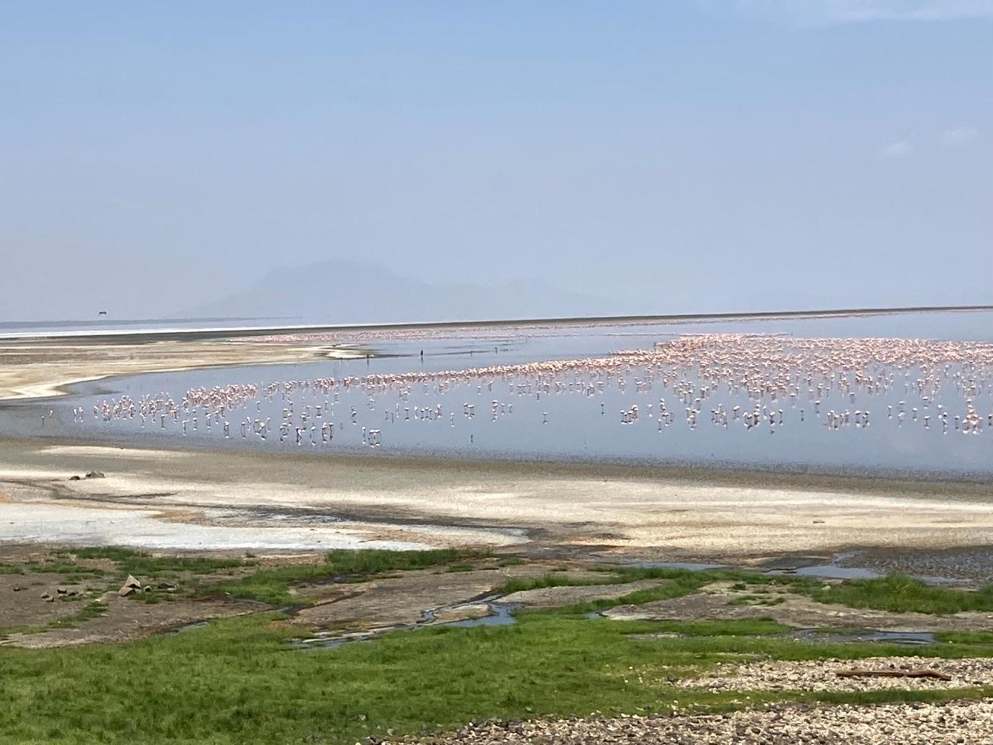 Lake Natron Maasai Guesthouse