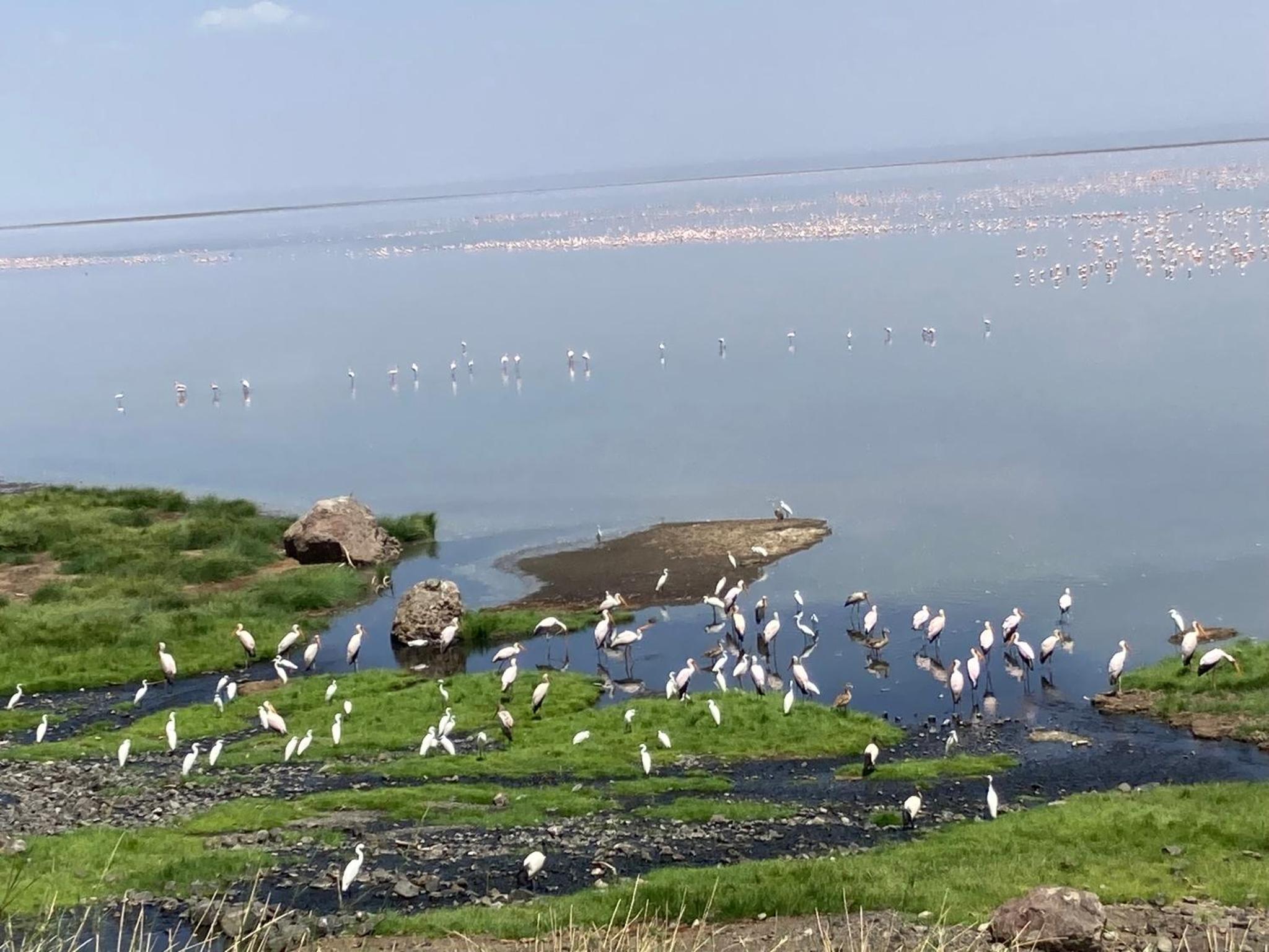 Lake Natron Maasai Guesthouse