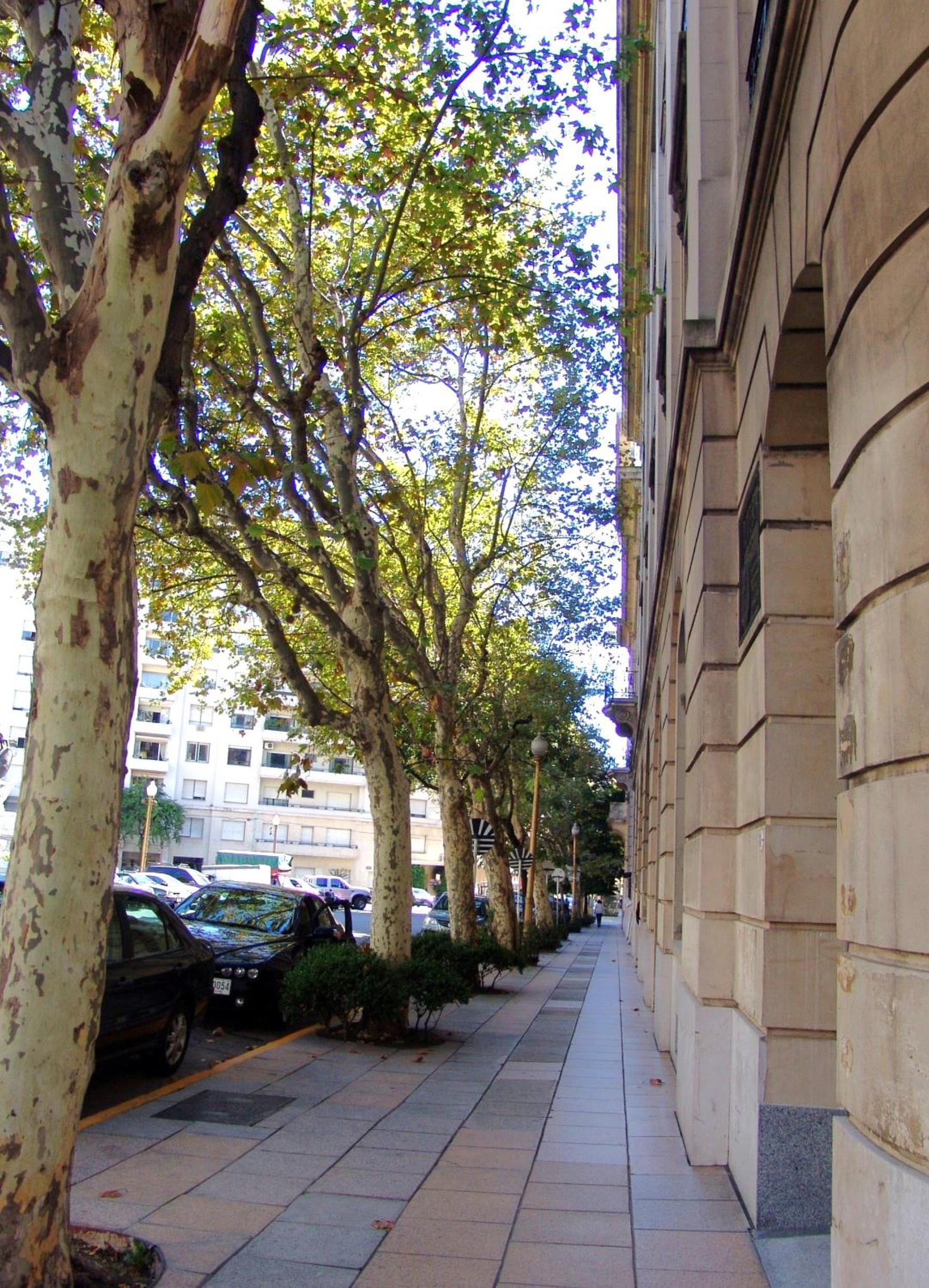 Recoleta Luxury Apartment