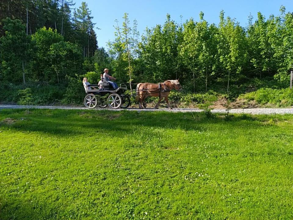 Spehnerhof