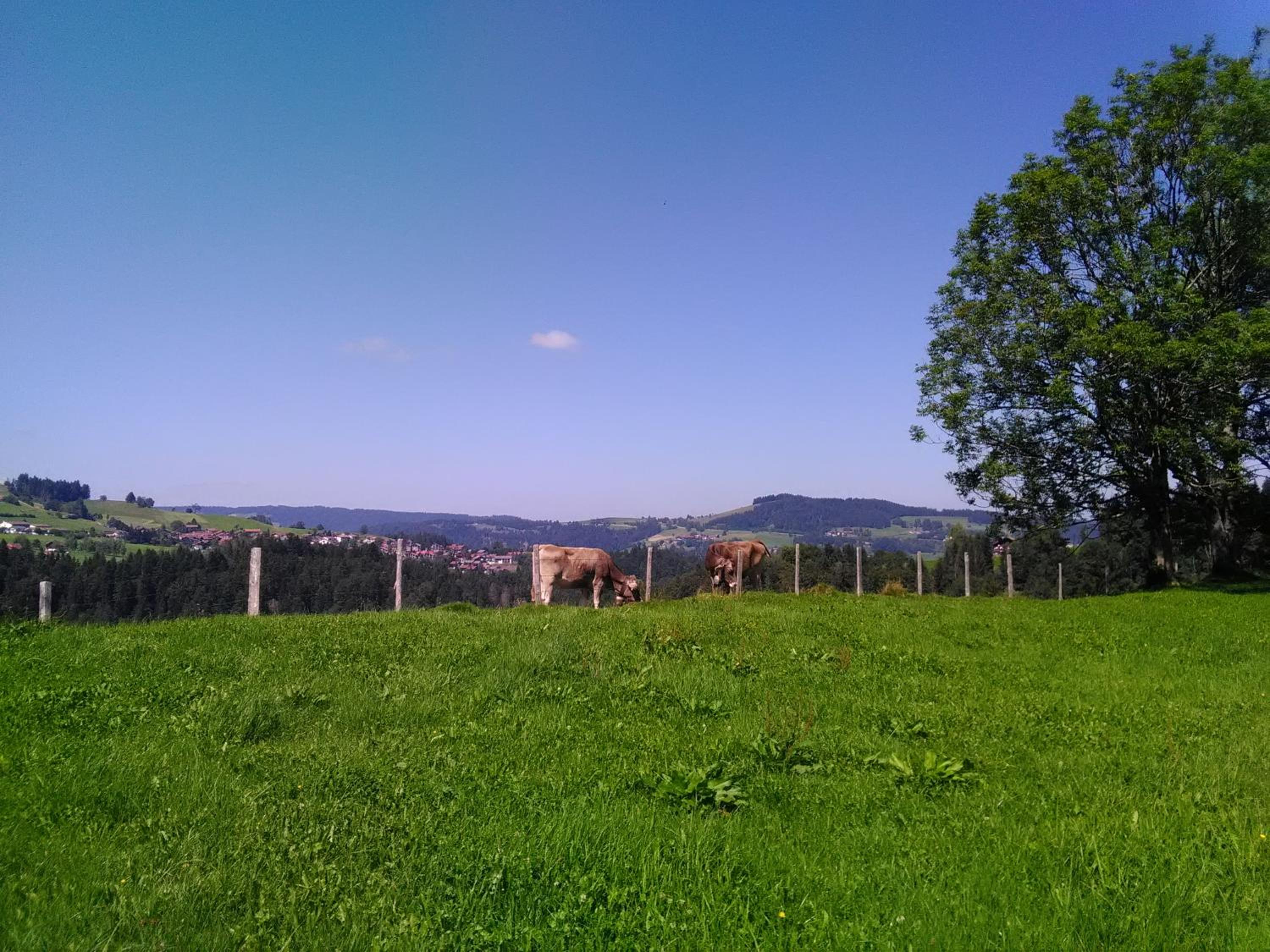 Spehnerhof