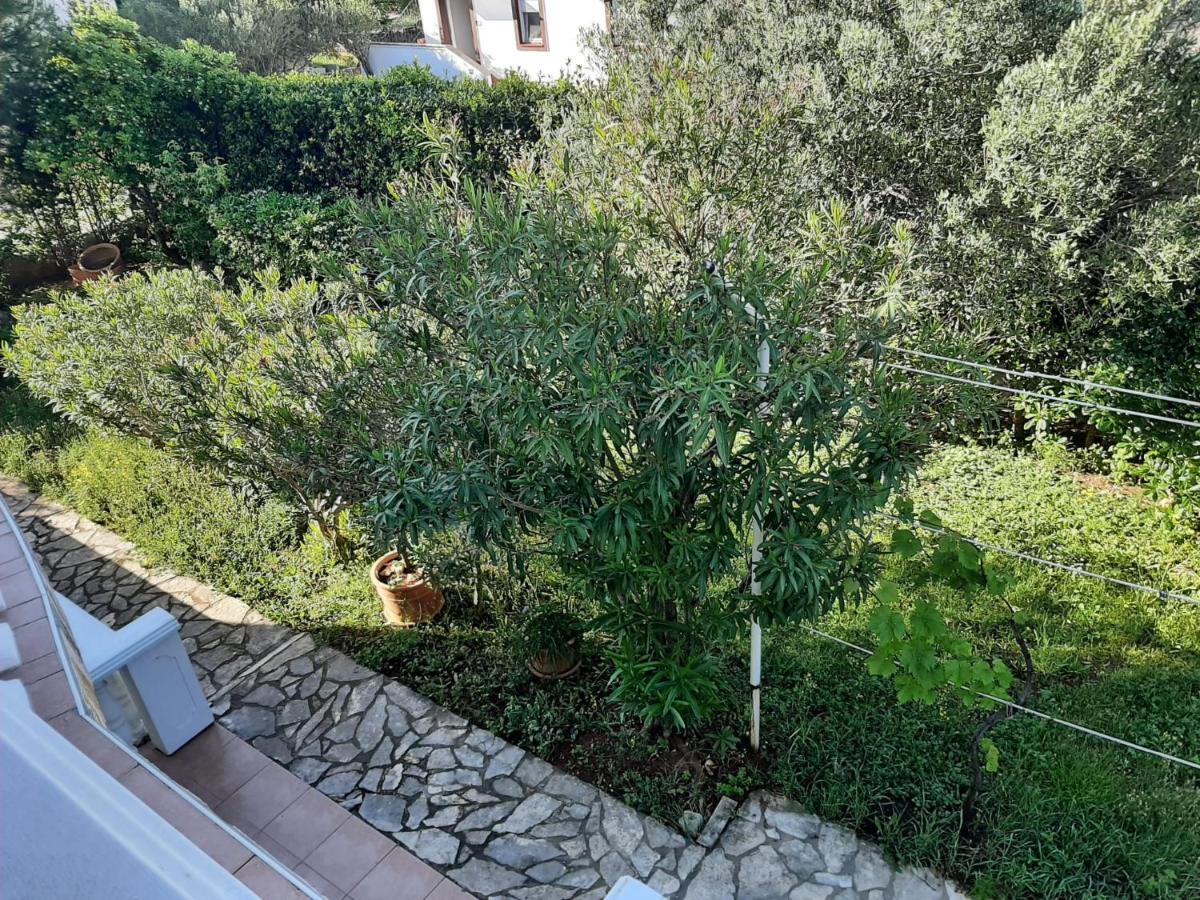 Apartments Villa Mirta