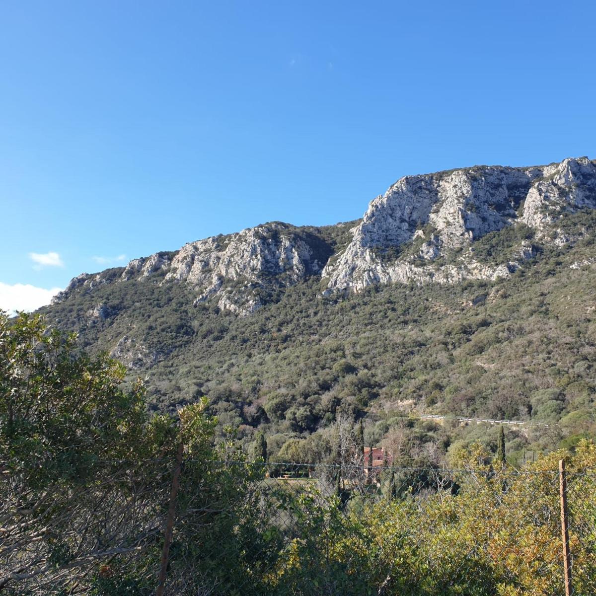 Photo 42