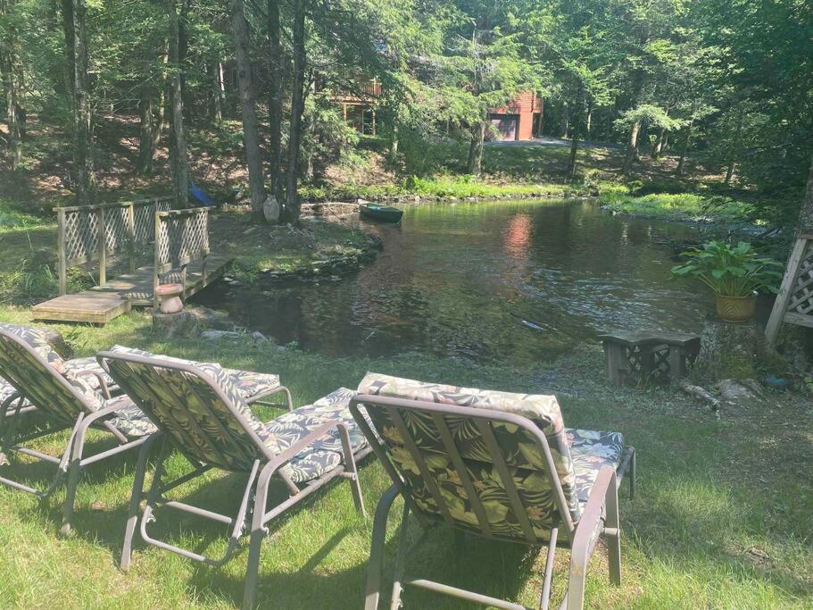 Peaceful Gateway to Island Creek Cottage view 4
