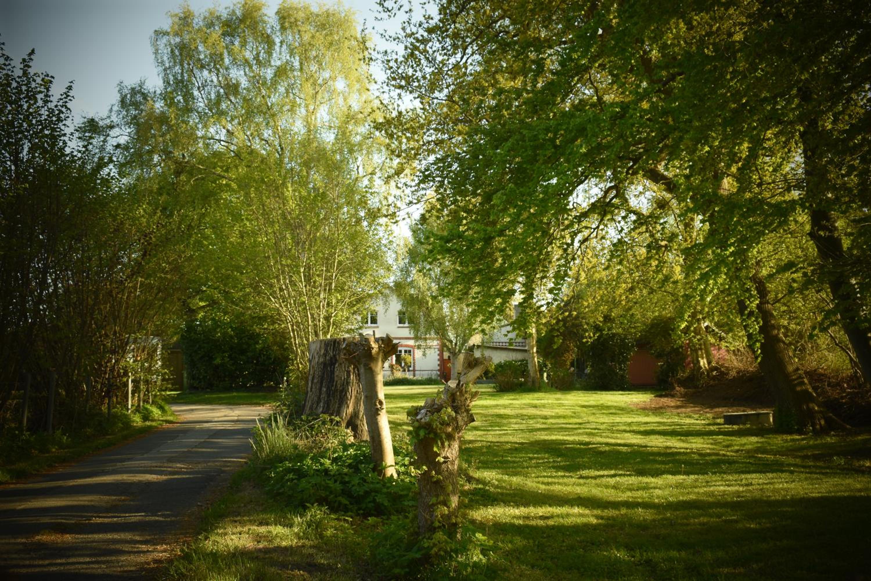 Photo 34