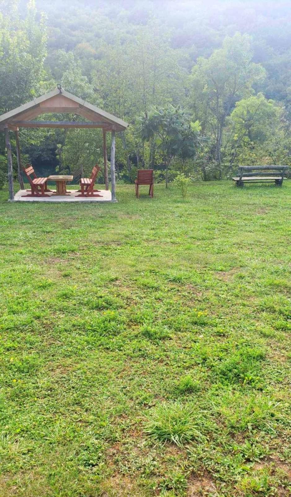 Photo 12