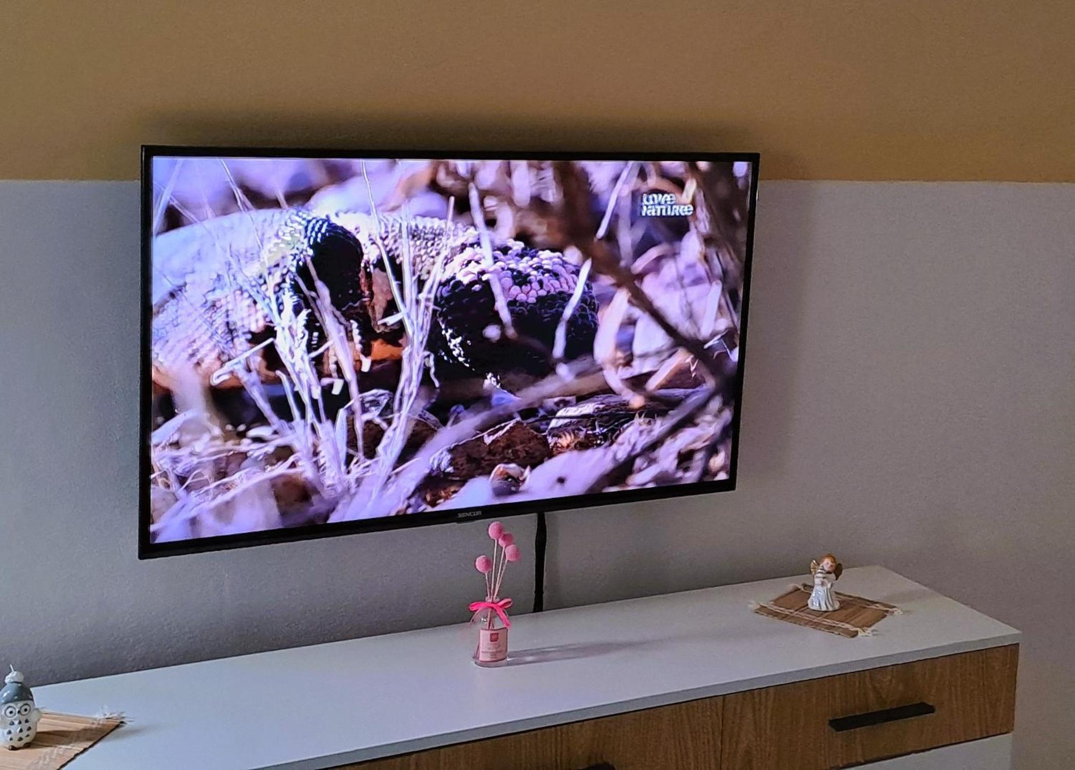 Apartmán u Ještěrky s finskou saunou v ceně view 5