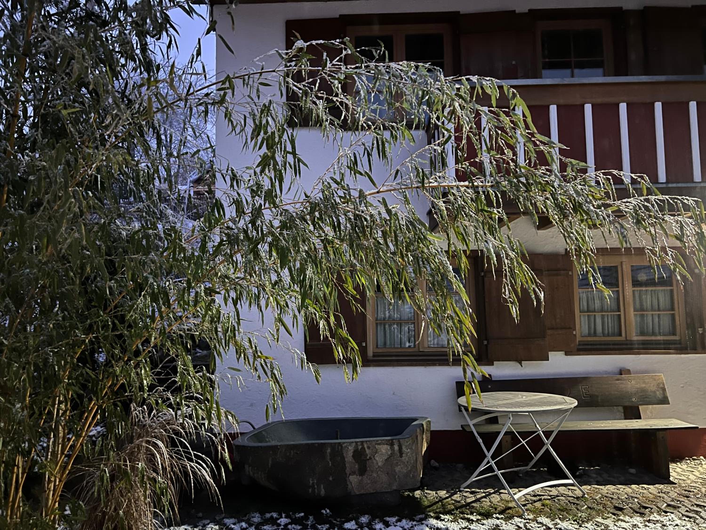 Pia's Nature Retreat