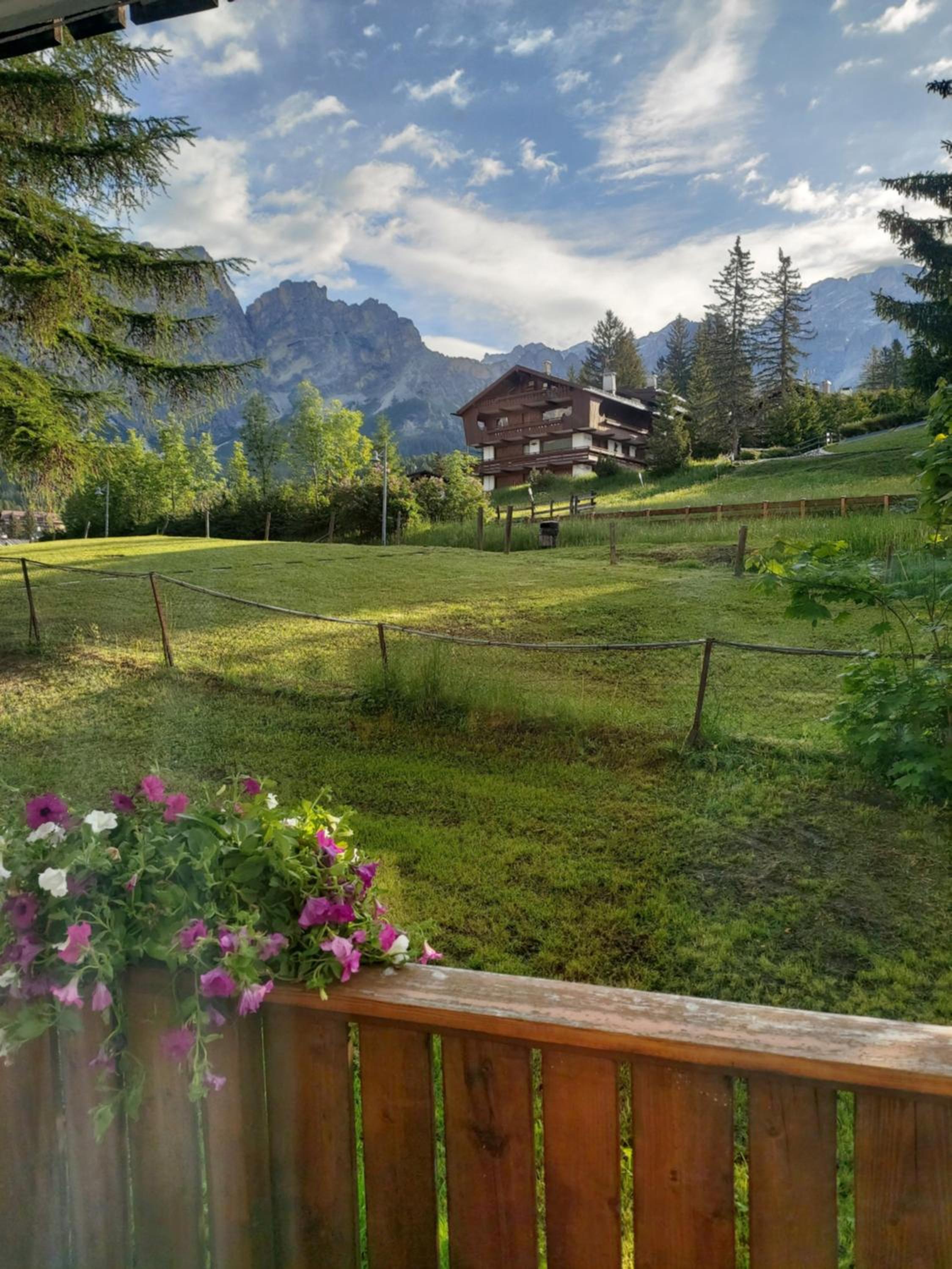 APPARTAMENTO CORTINA 1956 view 2
