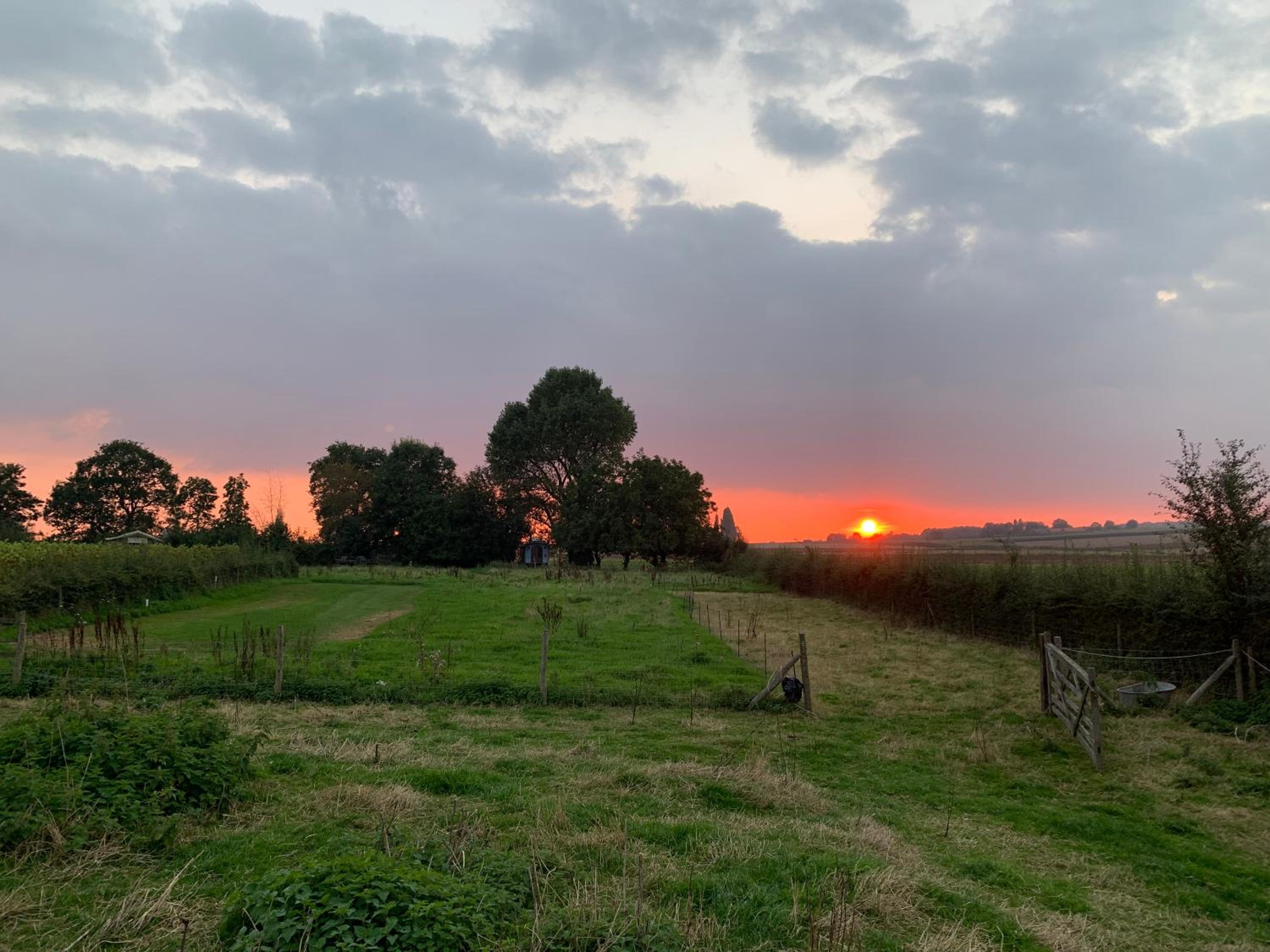 Vakantiewoning op Natuurterrein t Heuvelhof met optioneel hottub en sauna