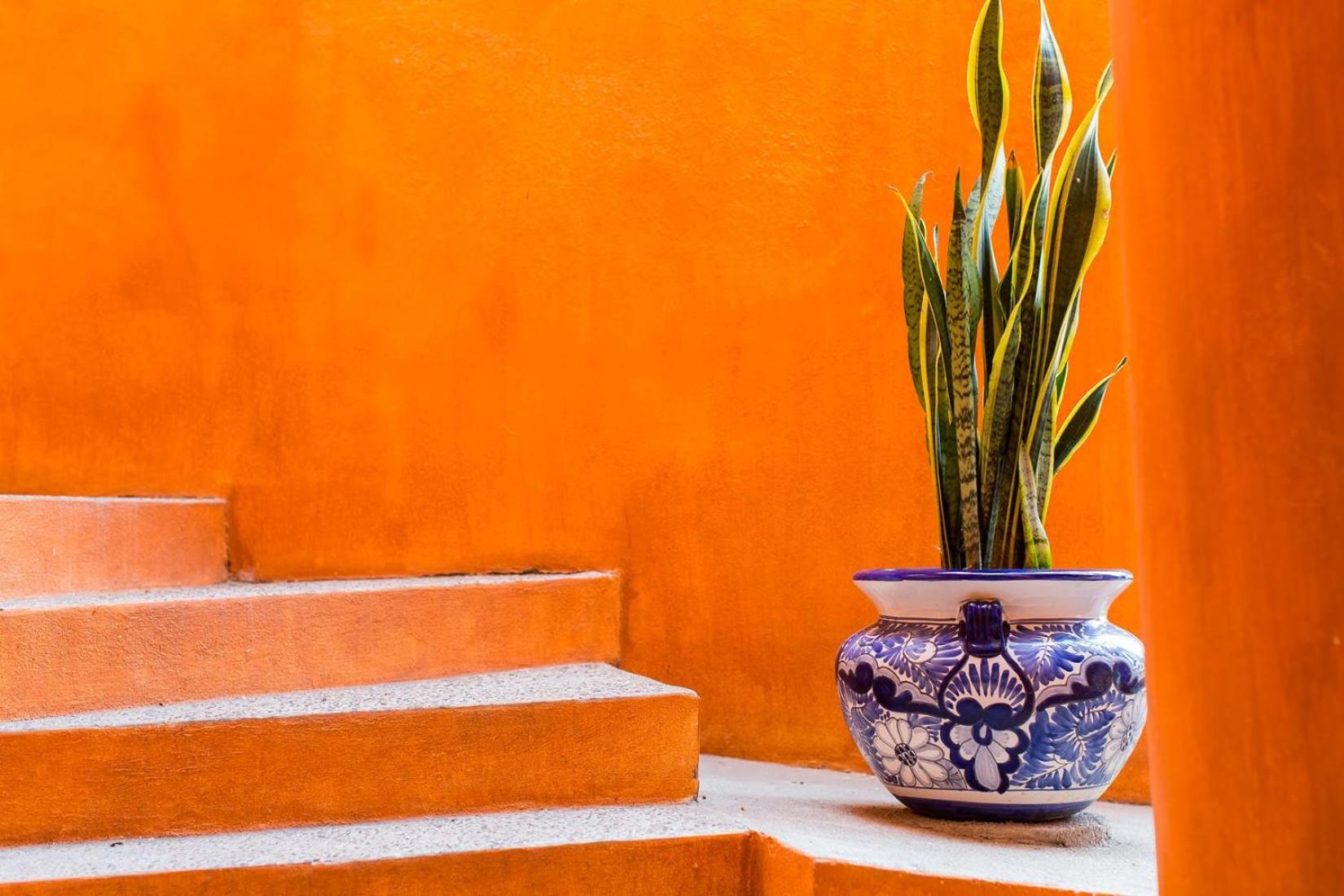Casa Lorenzo Orange Sunsets, Lush Landscape, Intown, Privacy view 3