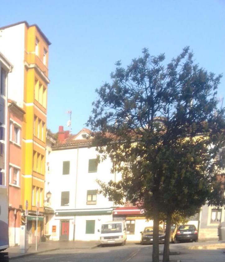 Rosario 14 Cimavilla view 3