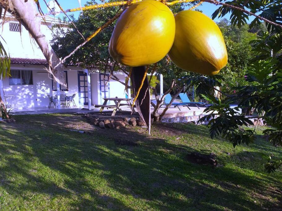 Villa Campêche Marine