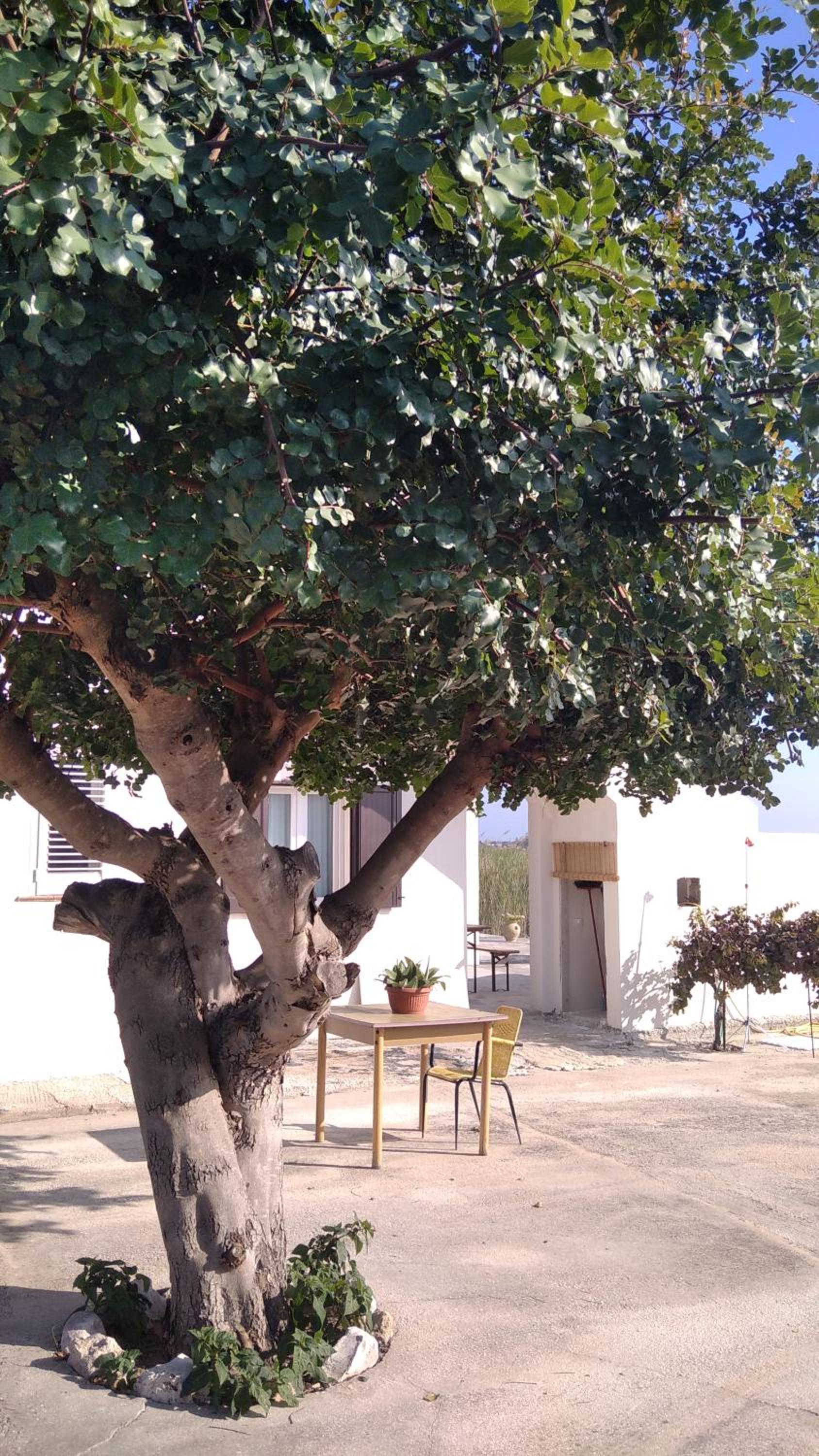 Casa Simetite view 2