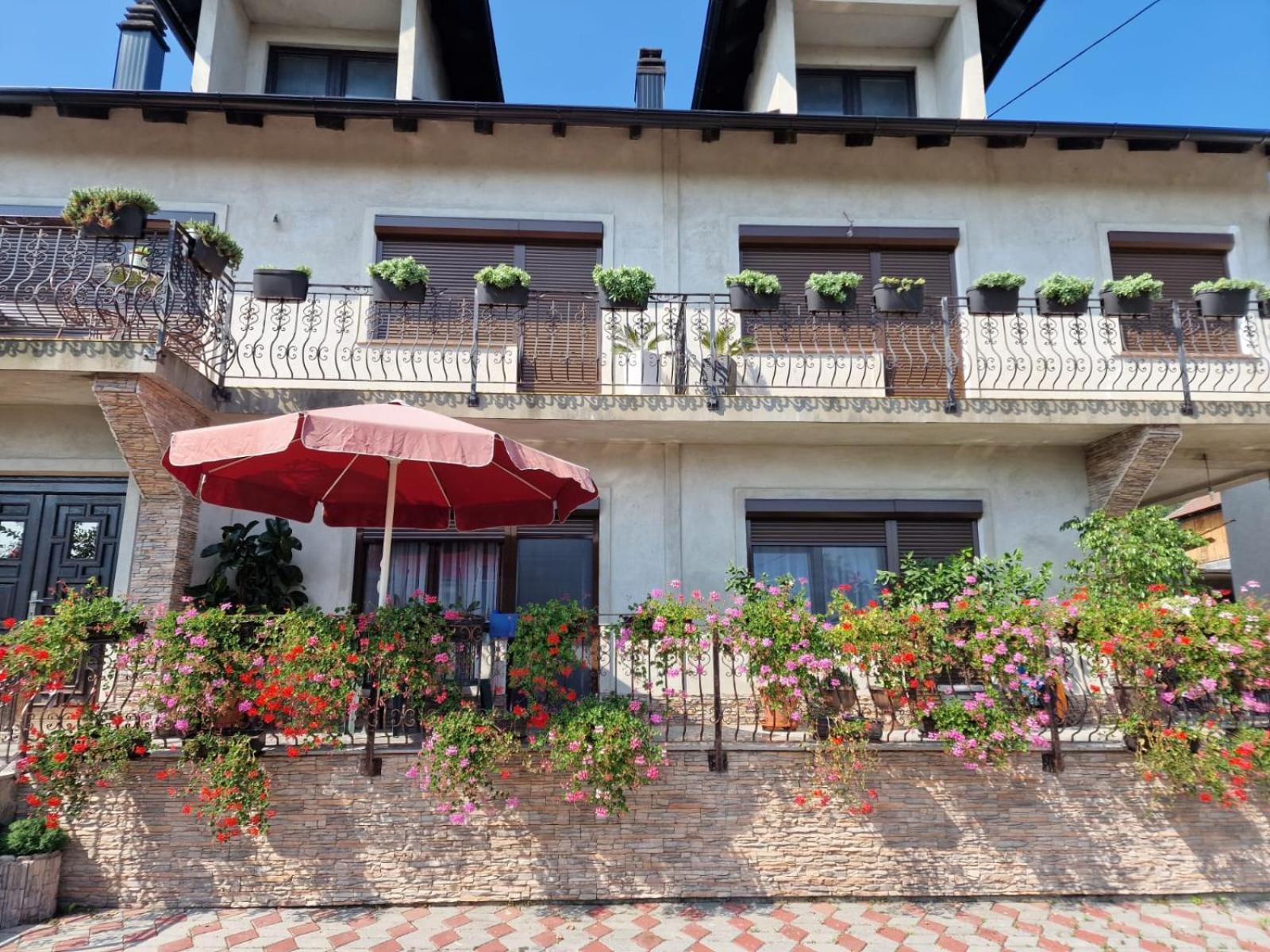 Villa Janković