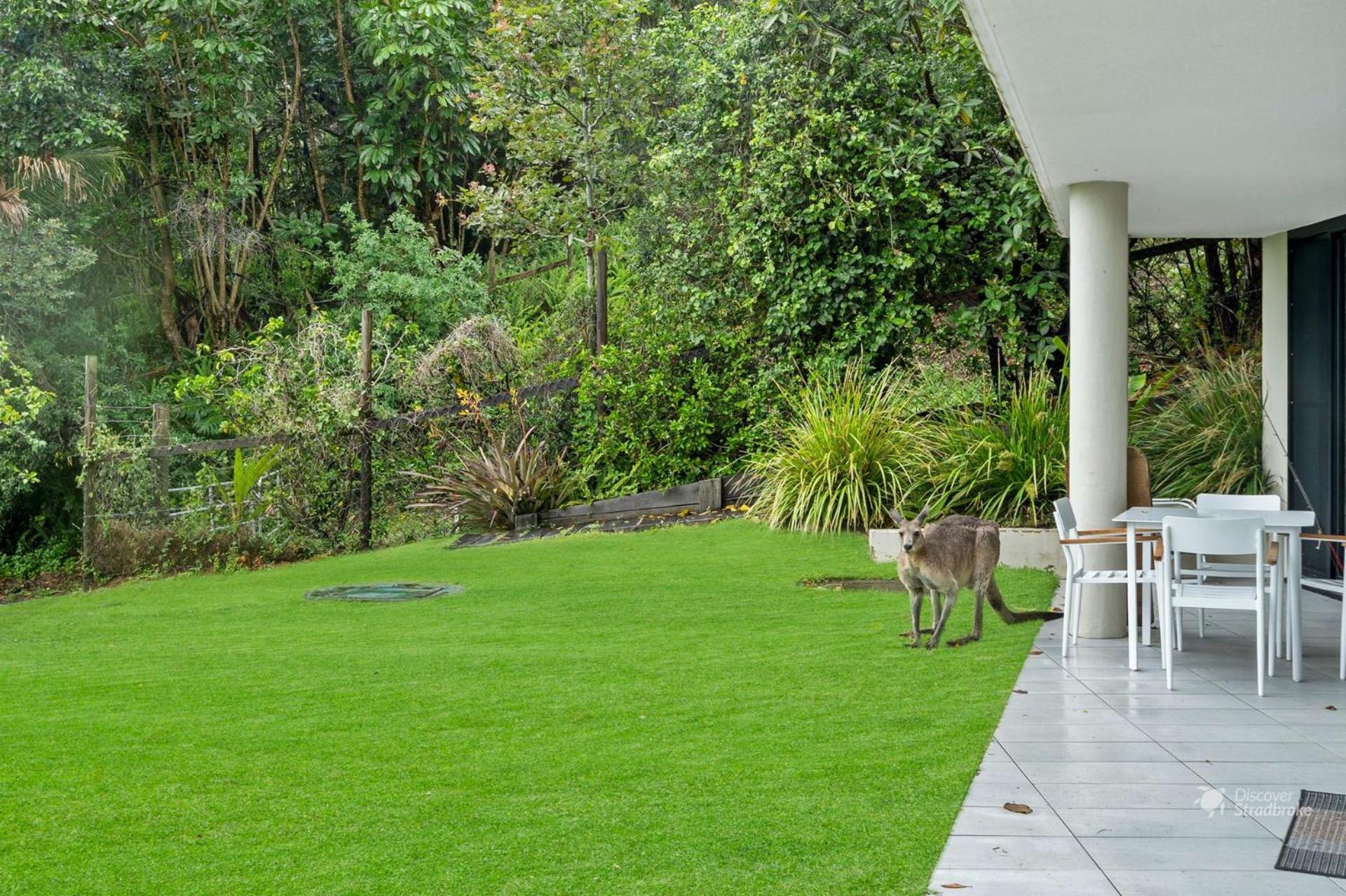 Mooloomba One by Discover Stradbroke