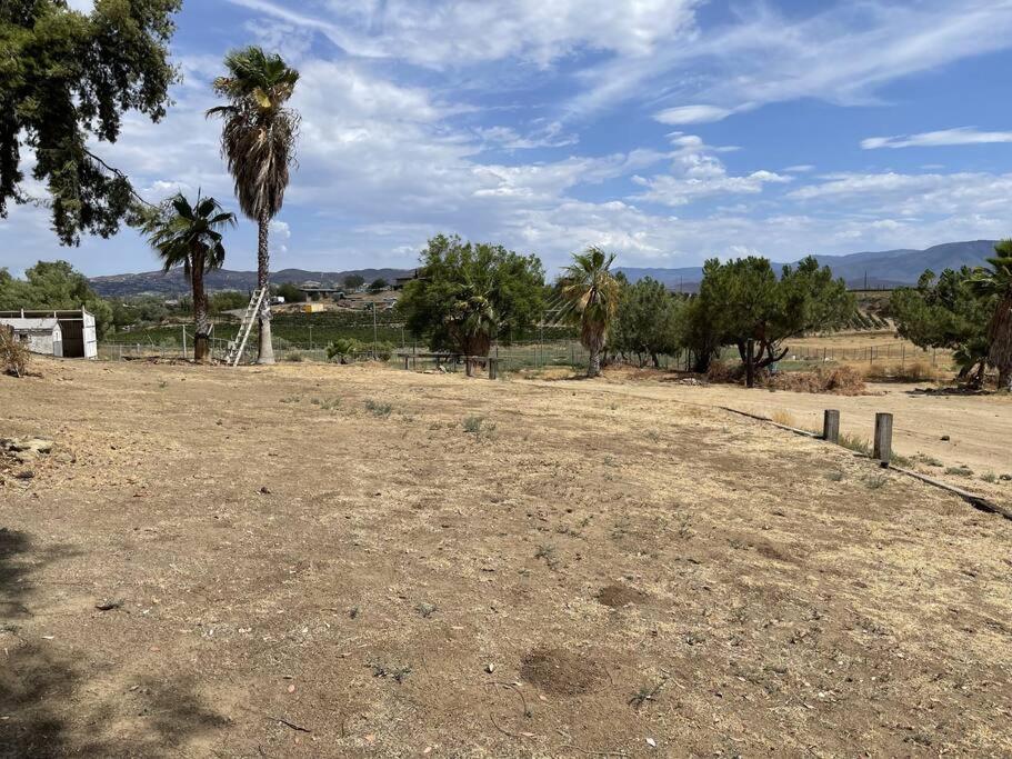 Temecula Rejuvenation view 4