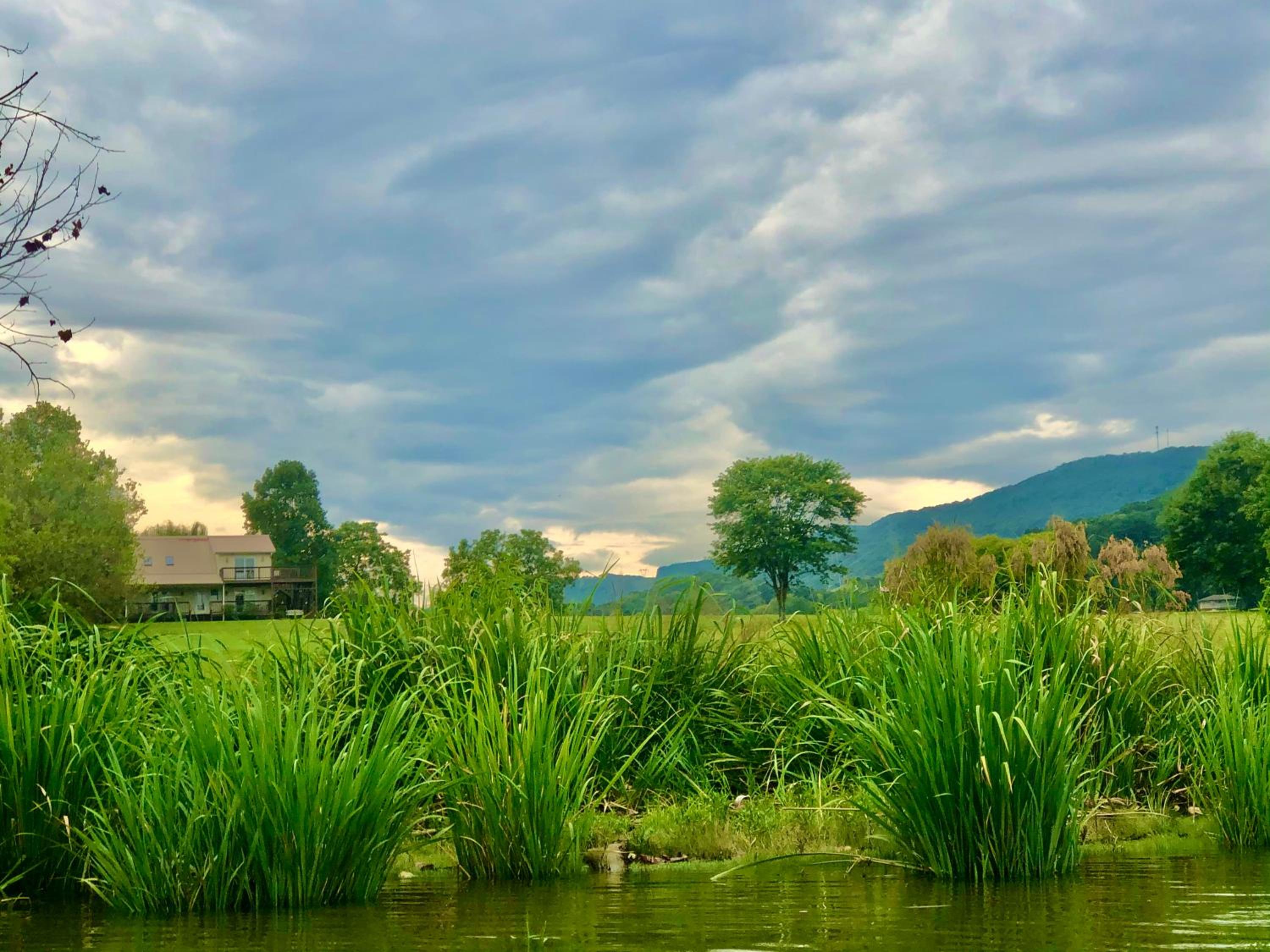Little River Guest House at Tennessee RiverPlace view 2