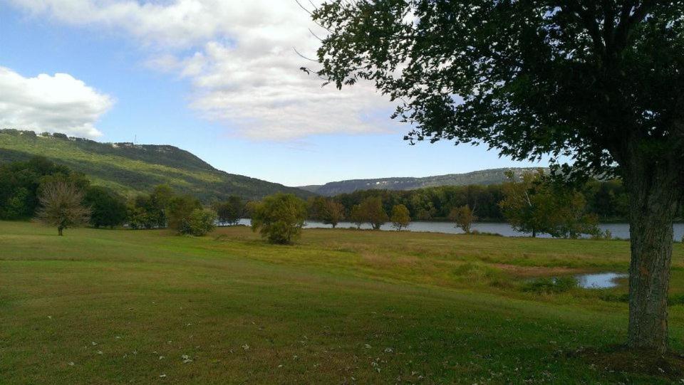 Photo 44