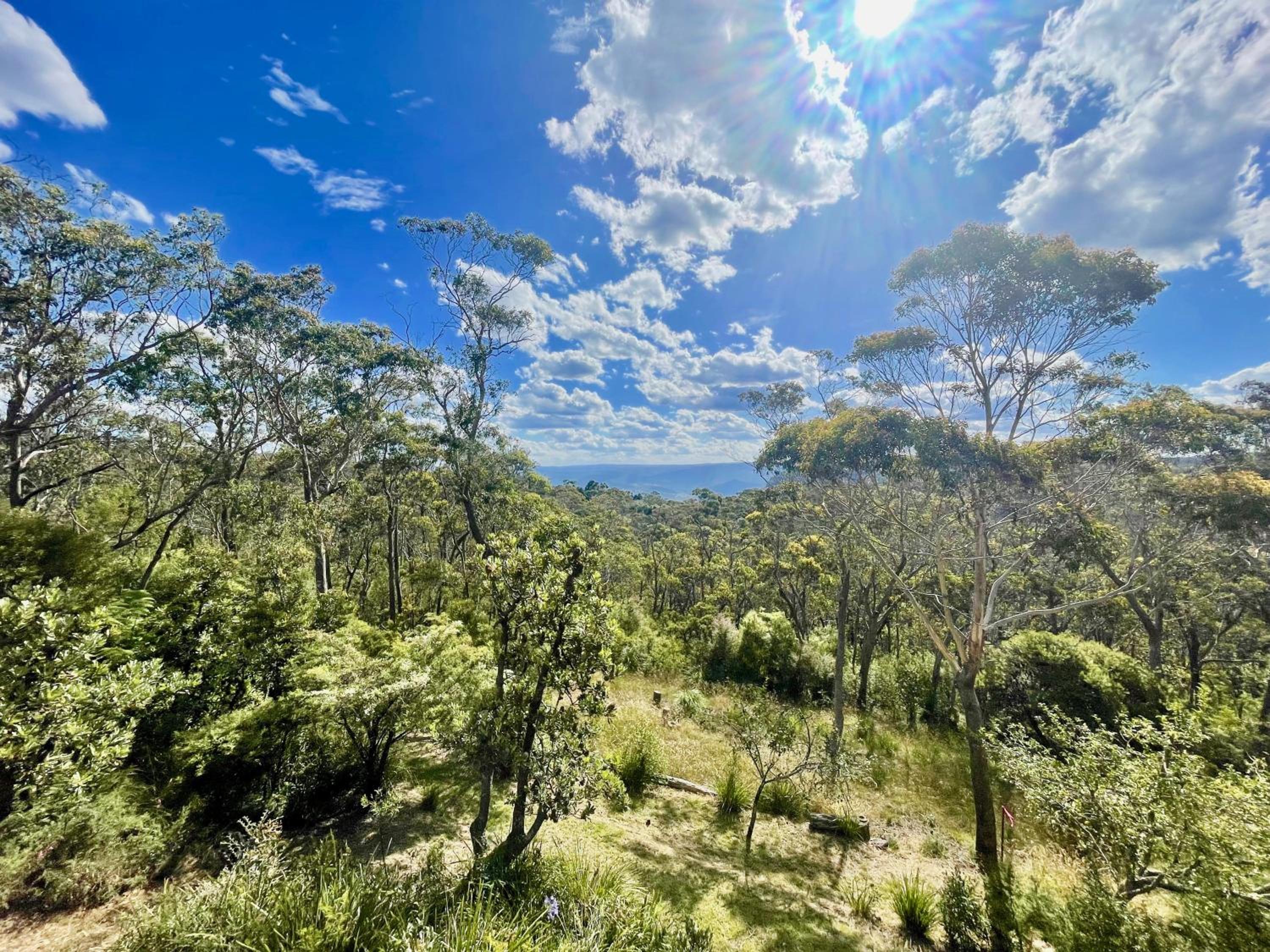 Narrow Neck Retreat