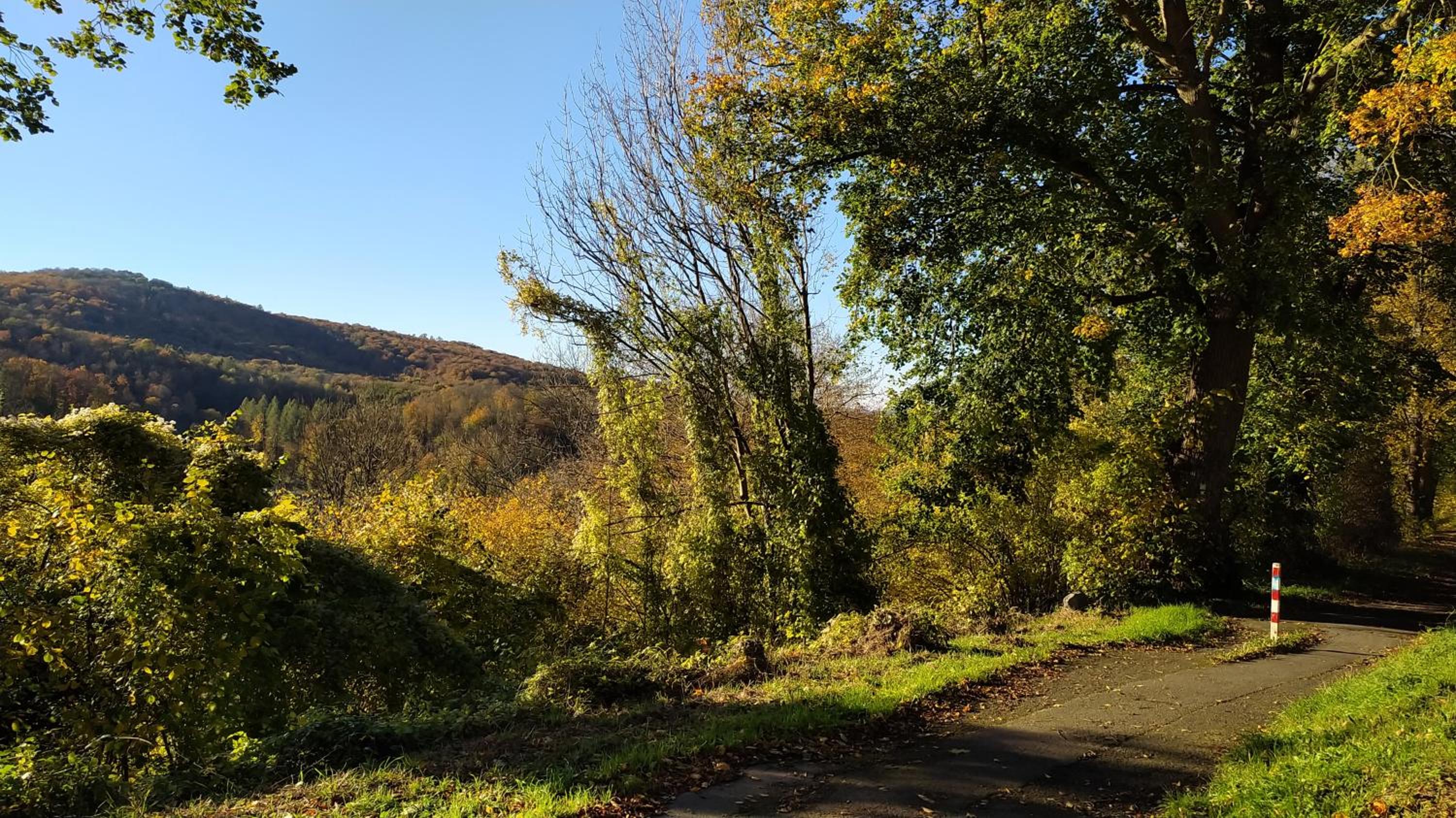 Panoramahaus Sauerland