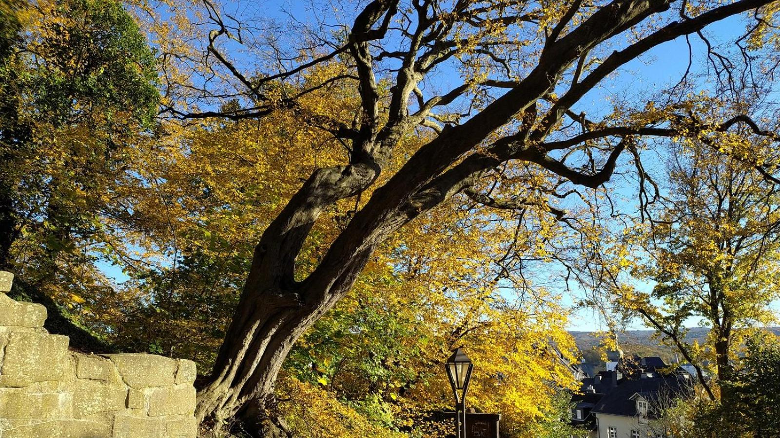 Panoramahaus Sauerland