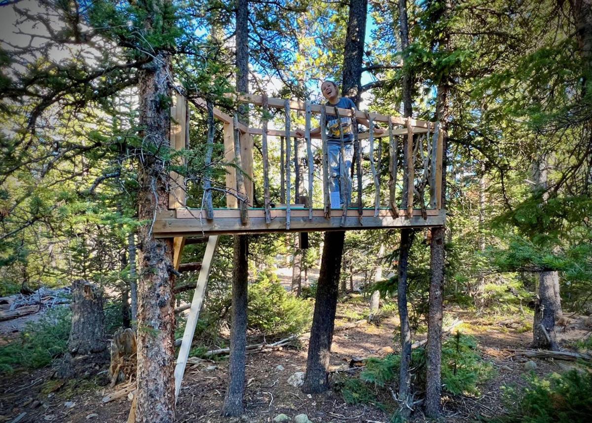 Bristlecone Cabin