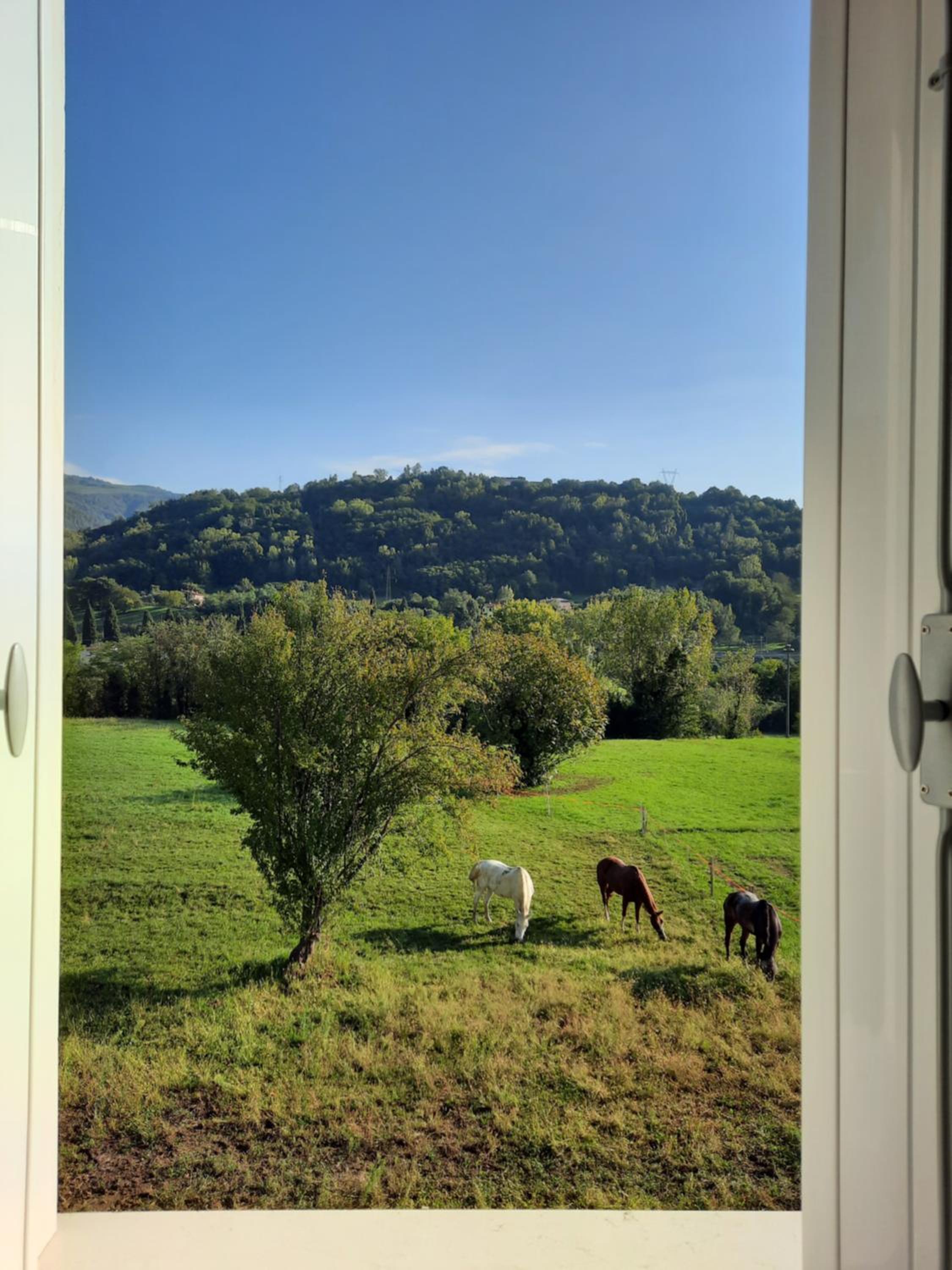 B&B Casa Pralunghi view 2