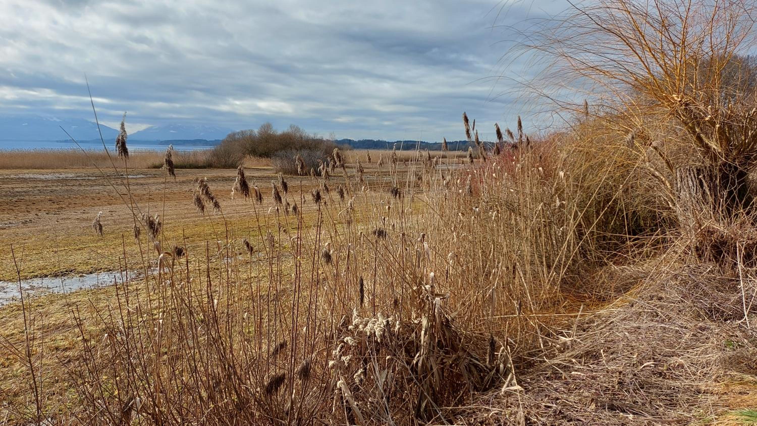 Marxhof Seebruck am Chiemsee