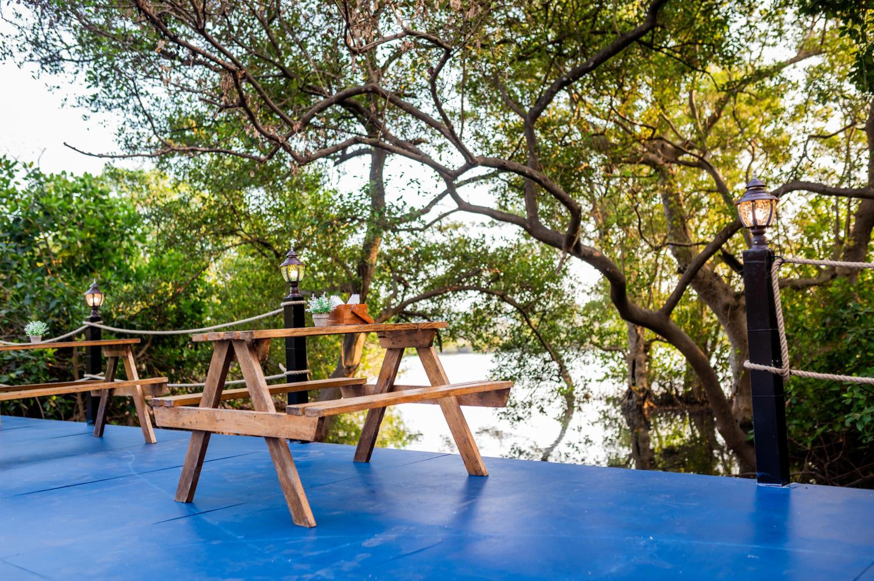 Trideus Tranquil riverside resort -Saipem, Candolim view 5