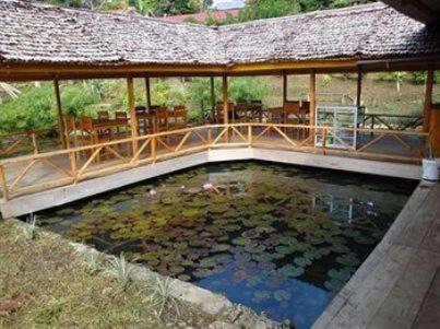Ue Datu Cottages view 2